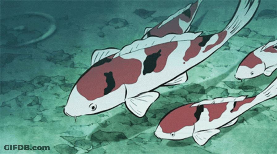 Anime Koi Fish Waiting GIF