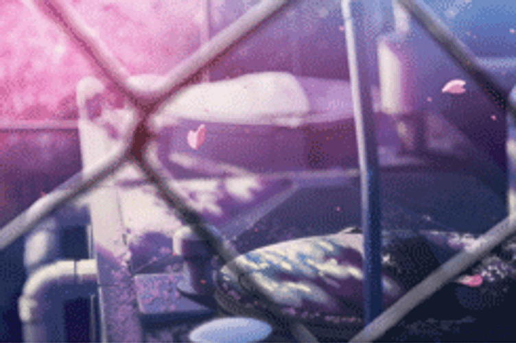 Anime Love Falling Petals GIF