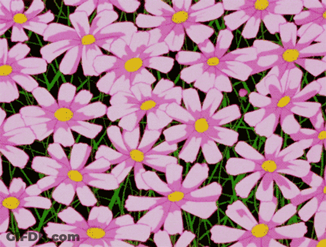 Anime Moving Pink Flowers GIF