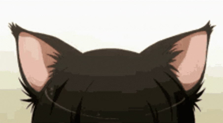 Anime Neko Cat Cute Ears GIF