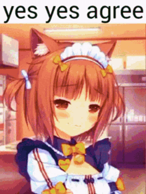 Anime Nekopara Azuki Yes Yes Yes Agree GIF