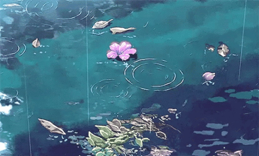 Anime Pond Rain GIF