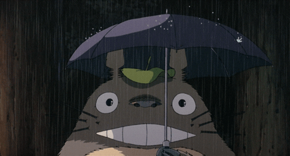 Anime Rain Totoro GIF