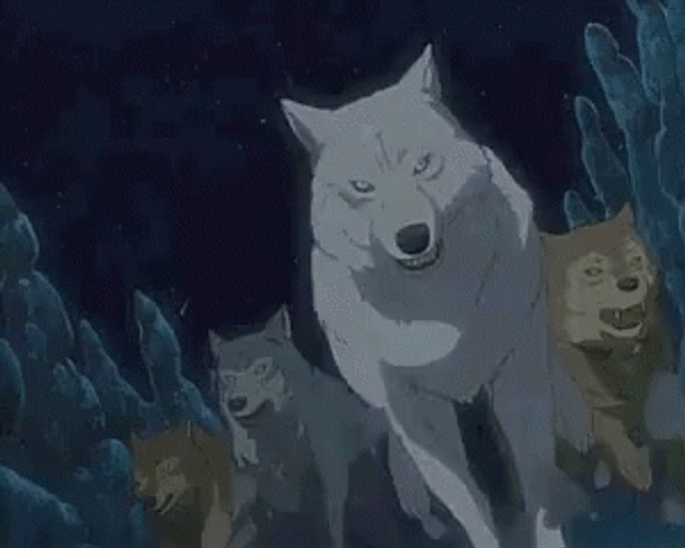 Anime Rain Wolf Pack GIF