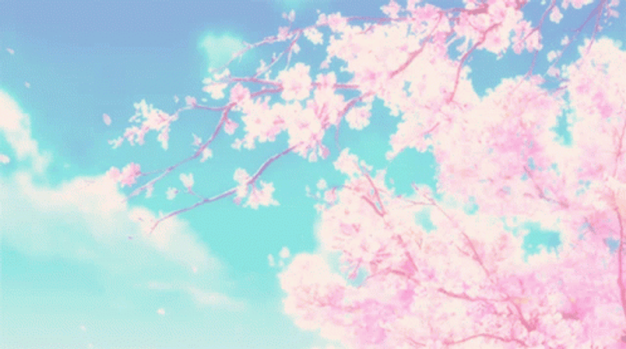 Anime Sakura Cherry Blossoms In Sky GIF
