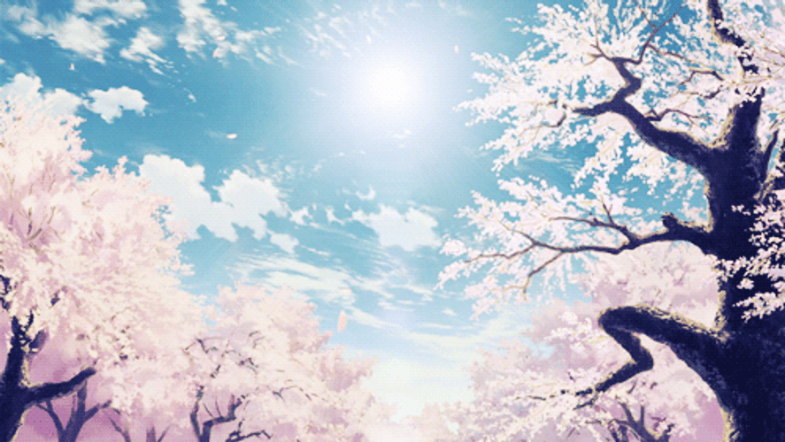 Anime Sakura Tree Background GIF