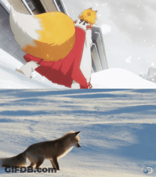 Anime Senko The Helpful Fox Dive Into Snow GIF