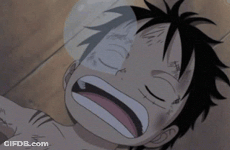 Anime Sleep Luffy GIF
