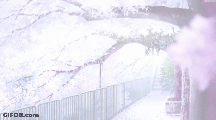 Anime Snow During Winter Sakura Season GIF