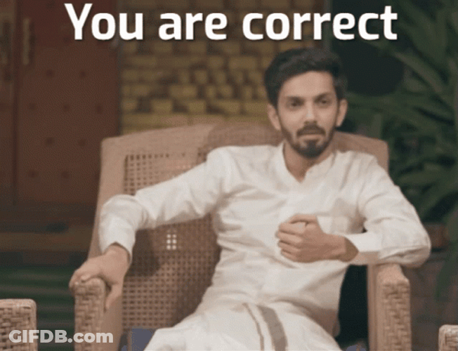 Anirudh Ravichander You Are Correct GIF