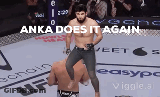 Anka Does It Again GIF