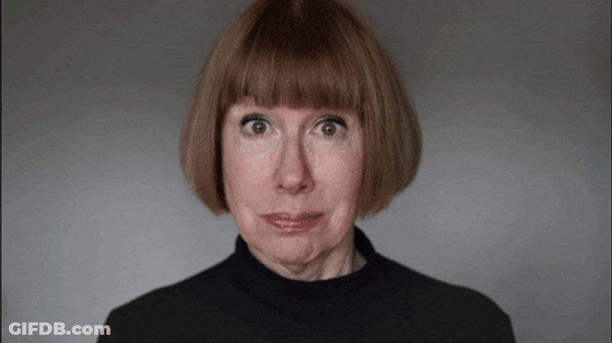 Anna Wintour Stop You Are GIF