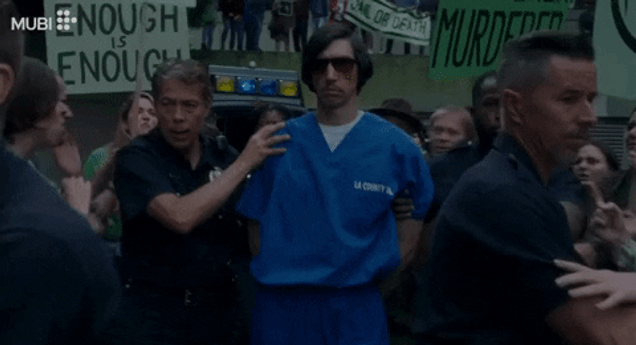 Annette Henry McHenry Caught By Police GIF