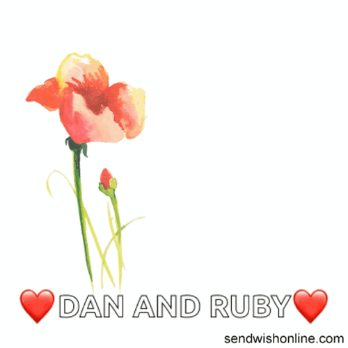 Anniversary Anniversary Wishes GIF