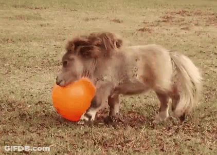 Anniversary Dance GIF