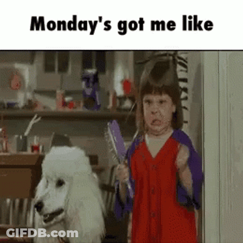 Annoyed On Monday Meme GIF