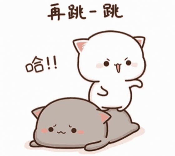 Annoying White Kawaii Cat GIF