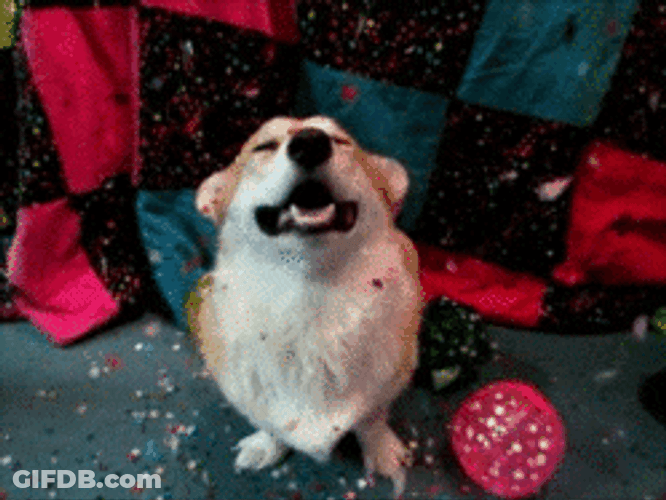 Año Nuevo GIF