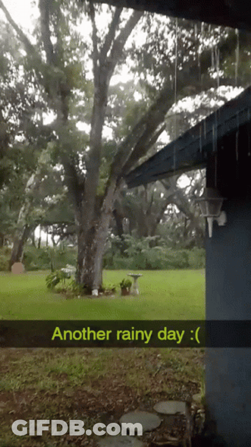 Another Happy Rainy Monday GIF