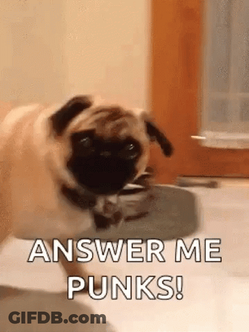 Answer Me Punks GIF
