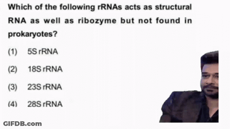 Answer The Biology Question GIF