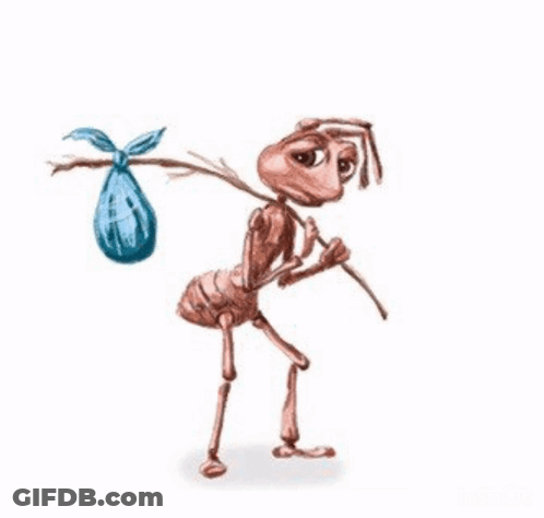 Ant Carrying Bag On Back GIF