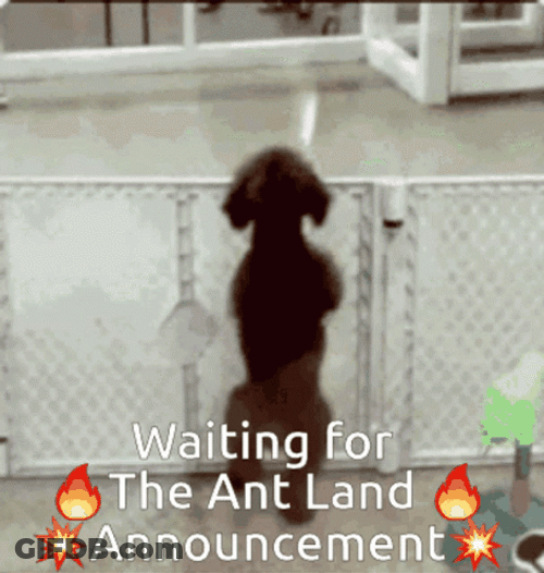 Ant Land Announcement Dog Wiggling GIF