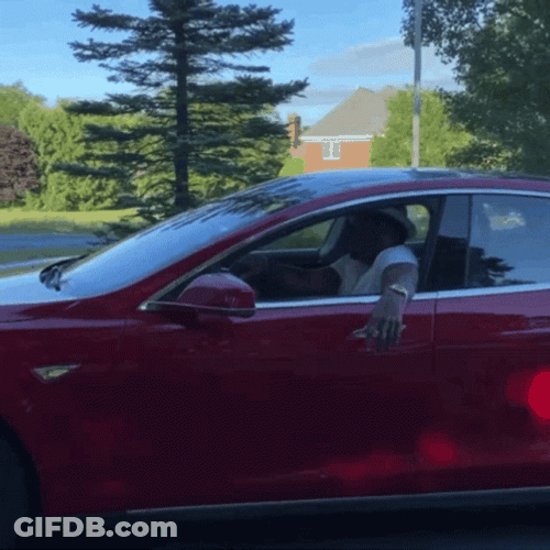 Anthony Adams Funny Descent From His Car GIF