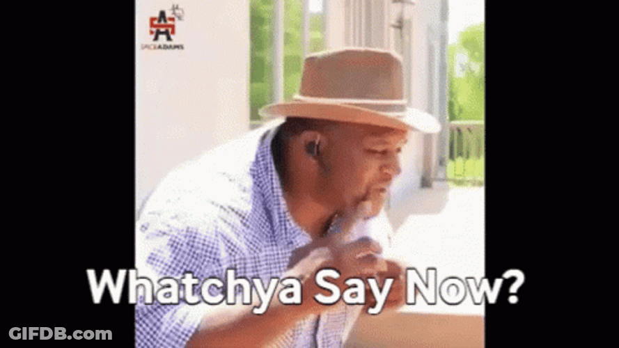 Anthony Adams What Do You Say Now GIF