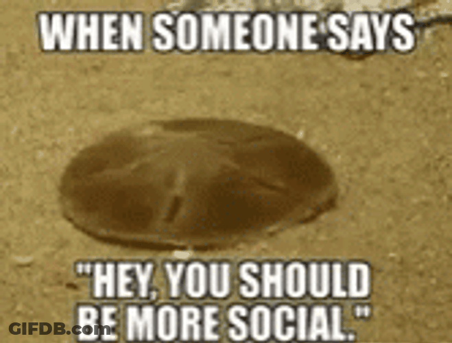 Anti Social Be More Social GIF