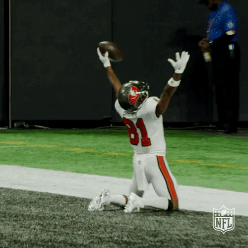 Antonio Brown Happy Cheering Football Touchdown GIF