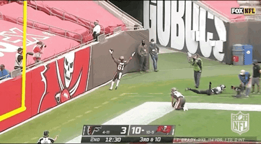 Antonio Brown Touchdown NFL Regular Season GIF