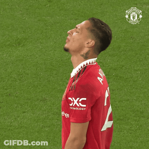 Antony Dos Santos Upset Face Palm GIF