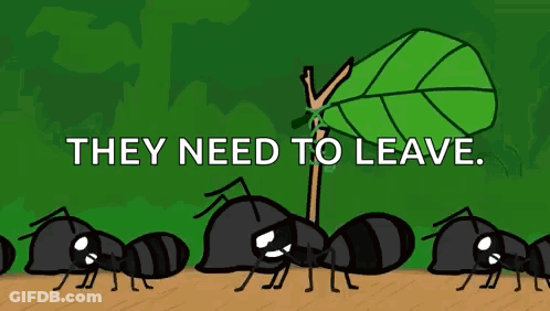 Ants Next To A Tree Saying They Need To Leave GIF