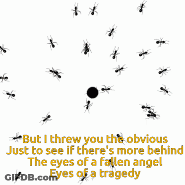 Ants Surrounding Black Ball GIF