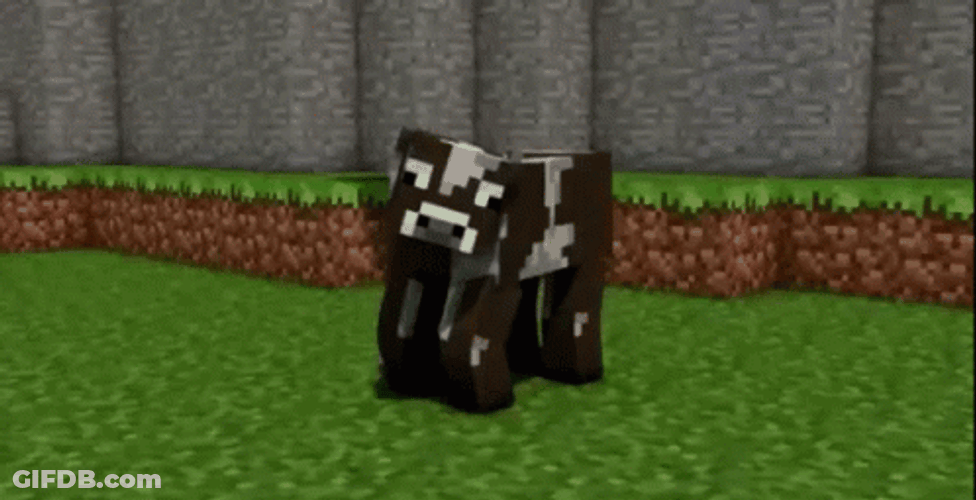 Anvil Fall On A Cow GIF
