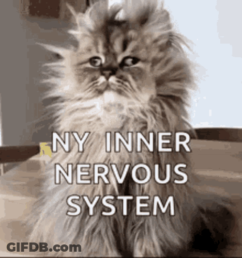 Anxiety Anxious GIF