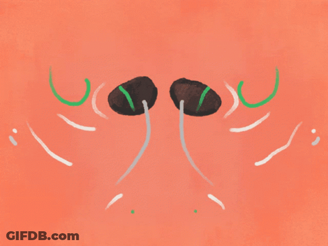 Anxiety Breathing GIF