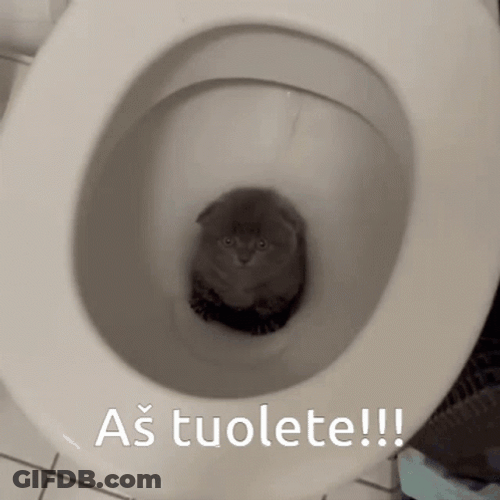 Anxious Kitty Stuck In The Toilet GIF