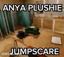 Anya Plushie Jumpscare Is A Meme With A Picture Of A Desk . GIF