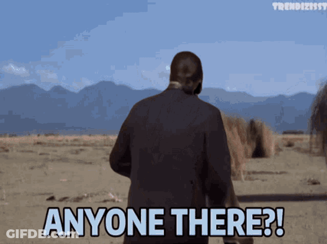 Anyone Here Tumbleweed GIF