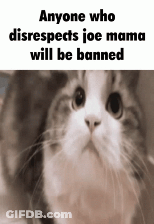 Anyone Who Disrespect Joe Mama Will Be Banned GIF