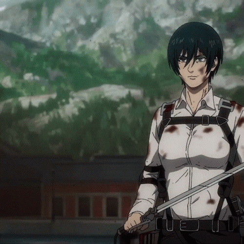 Aot Fighting Mikasa GIF