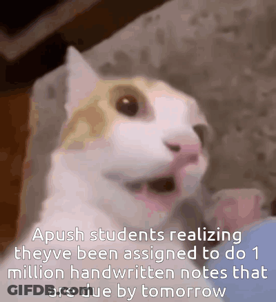 Ap World History Apush GIF
