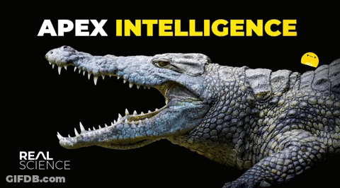 Apex Intelligence Poster Crocodile With Mouth Open GIF