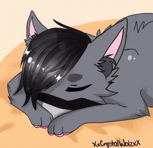 Aphmau Zane Cat Sleeping GIF