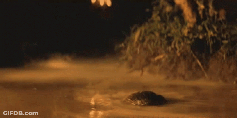 Apocalypse Now Scene Sneaking Enemy Base GIF