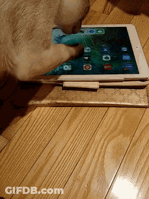 App Ipad GIF