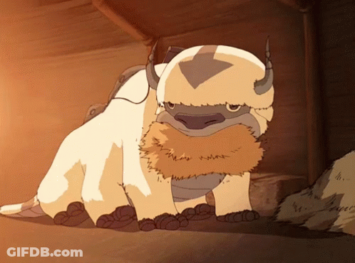 Appa Avatar GIF