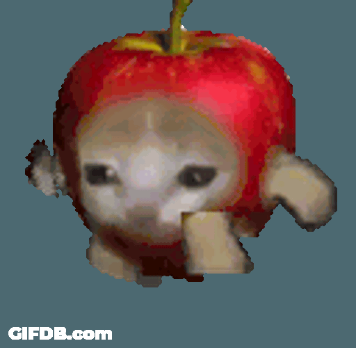 Apple Apple Cat Sticker GIF